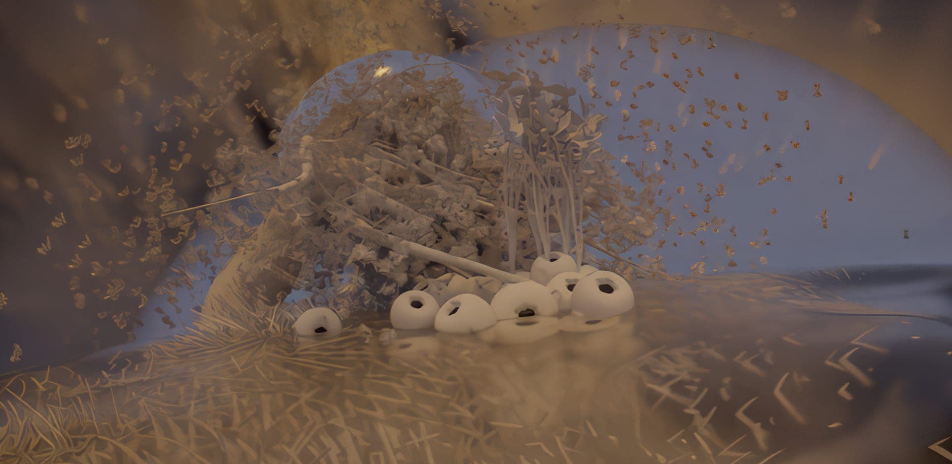 Across the Lake/Kòe Ô͘