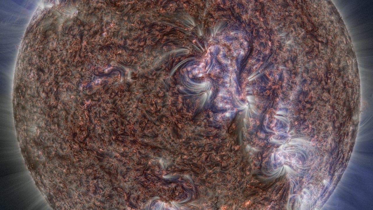 The Sun, Our Living Star