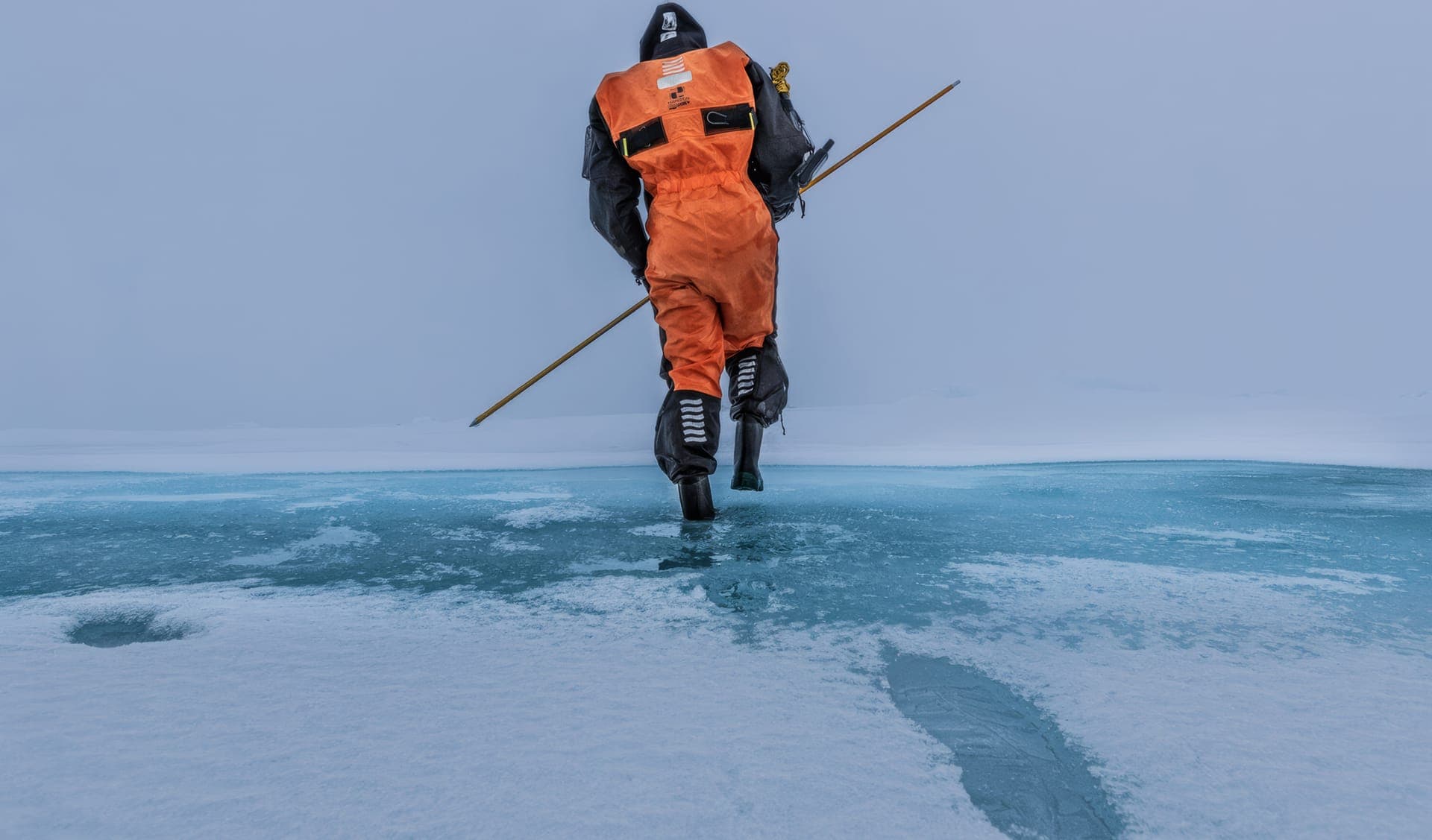 Drifting North: The Arctic Pulse