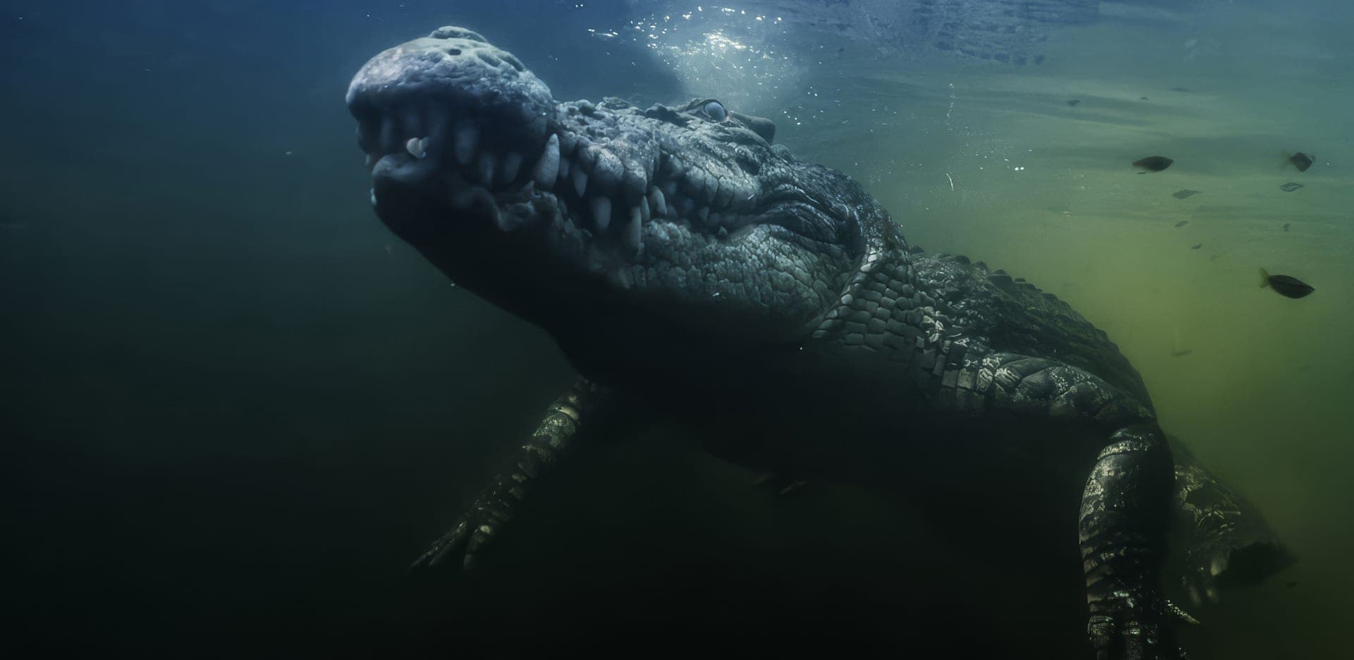 Australia’s Great Wild North