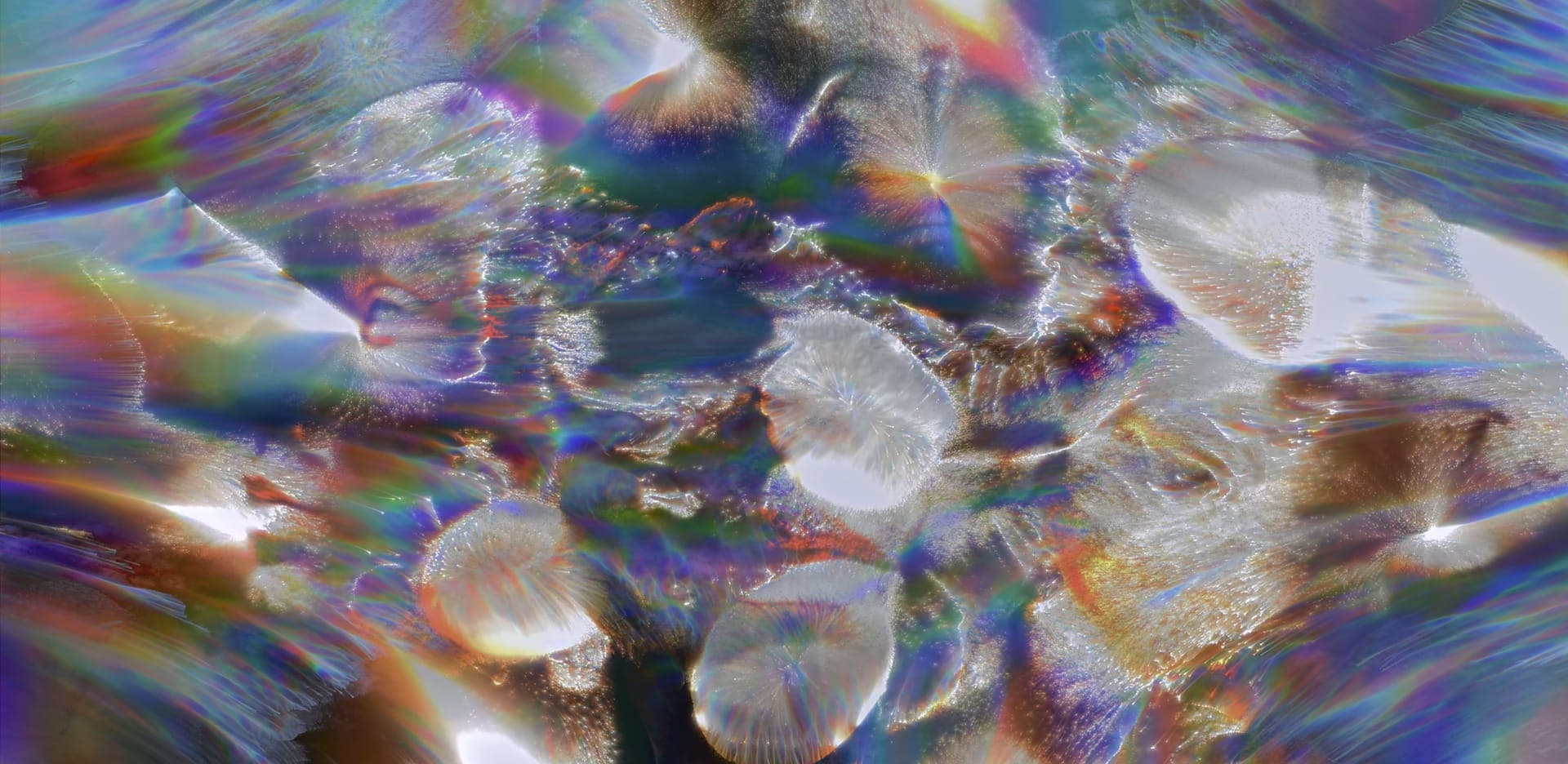 Mother Nature Must Have A Different Plan For Me