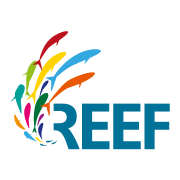 reef distribution logo